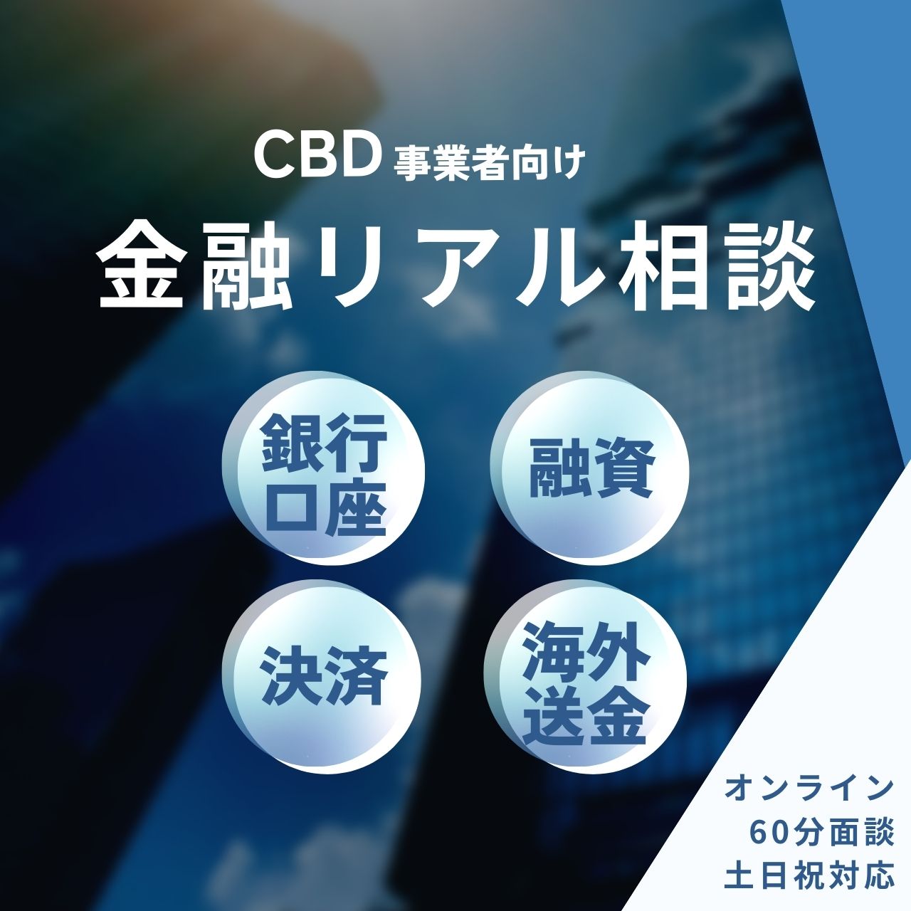 CBD事業者向け銀行口座・融資・決済・海外送金のリアル相談 - 60分 – CBD Library