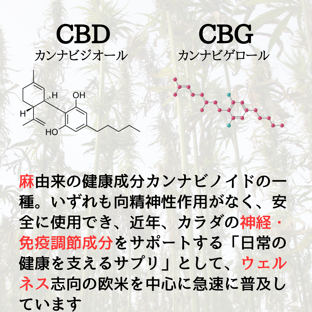 リッチ&ライトCBDセット:CBDオイル + CBGタブレット - CBD Library(CBDライブラリー)