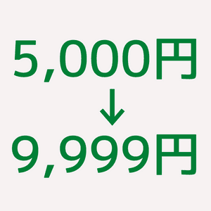 5,000~9,999엔
