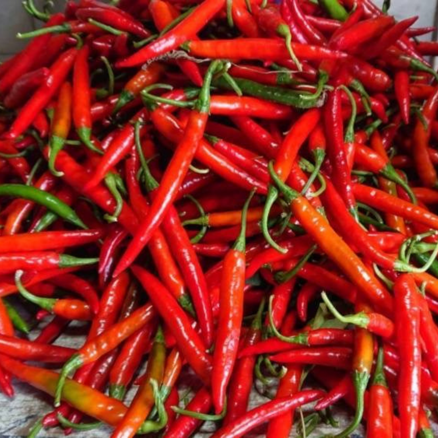 [Shichimi Togarashi] 10g | Sakura Shichimi | Spices to enhance your cooking Herbs Red chili peppers Sakura leaves Ginger Japanese pepper Genkou Hemp seeds Red pepper Traditional Gift - Kyoto Asanoha
