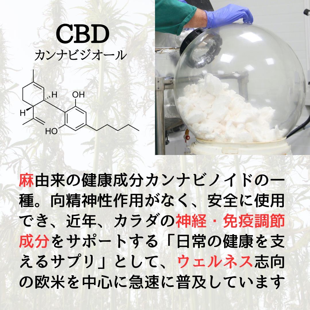[CBD Gum] CBD 100mg/12 pieces - EUPHORIA